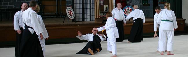 Sensi vince instructing aikido at tbci event.