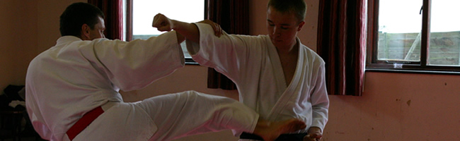 Sensi rick roberts demonstrating jujitsu techniques