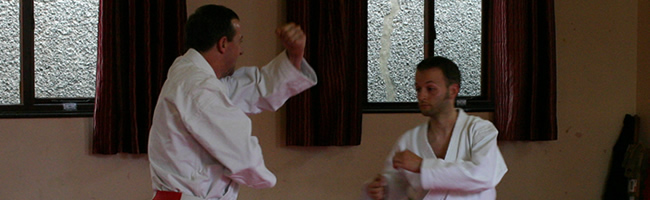karatedo demonstration at tbci event.